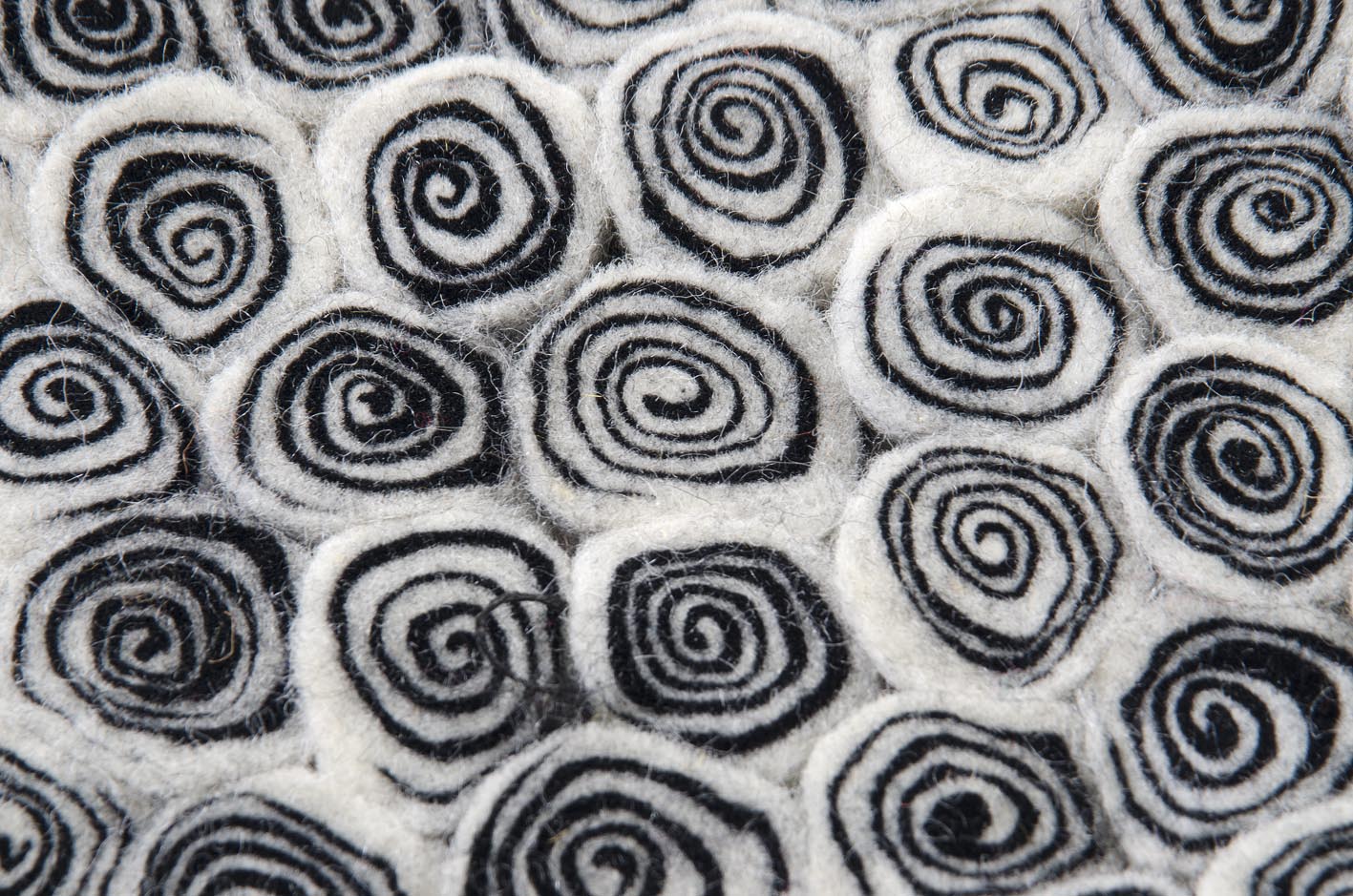 Nautilus white