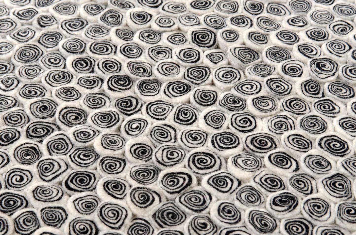 Nautilus white