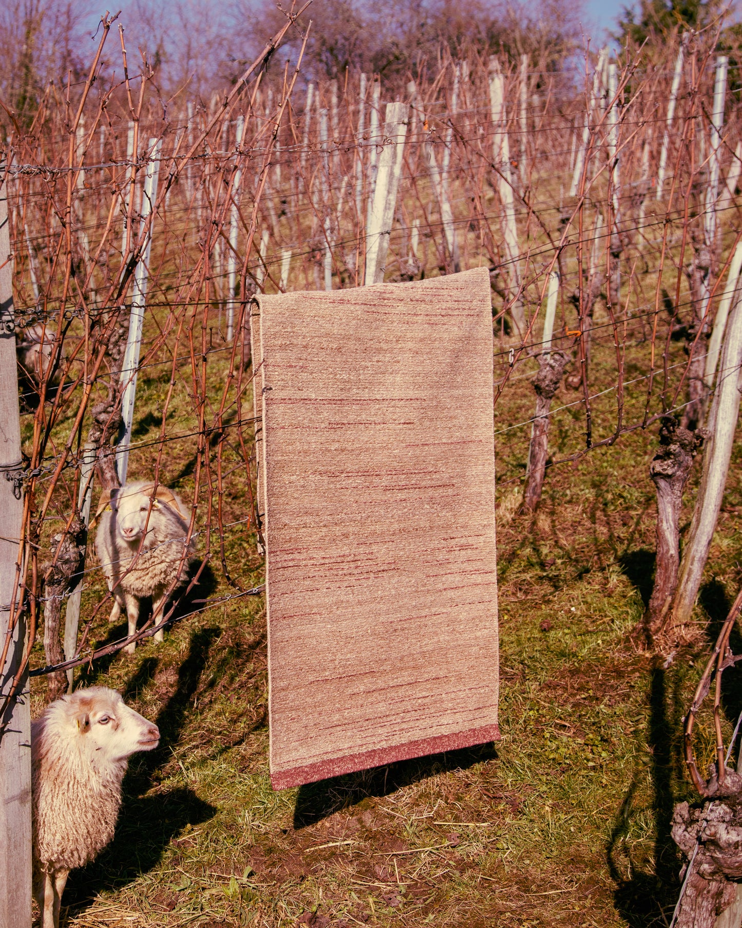 BRUT NATURE