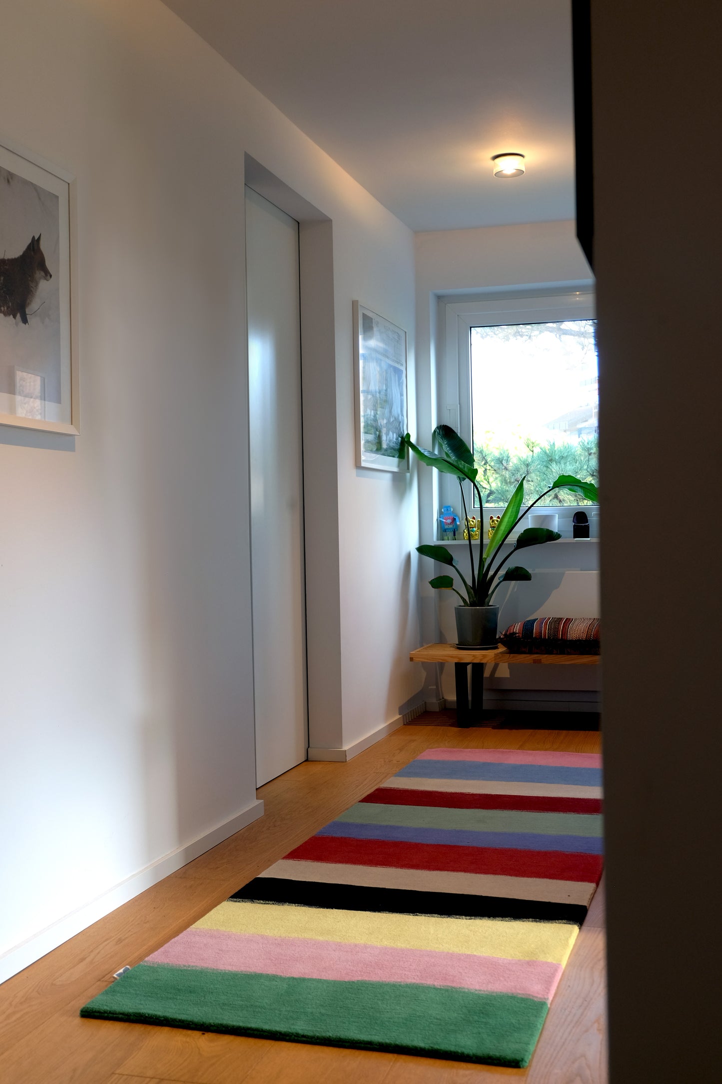 striped carpet 