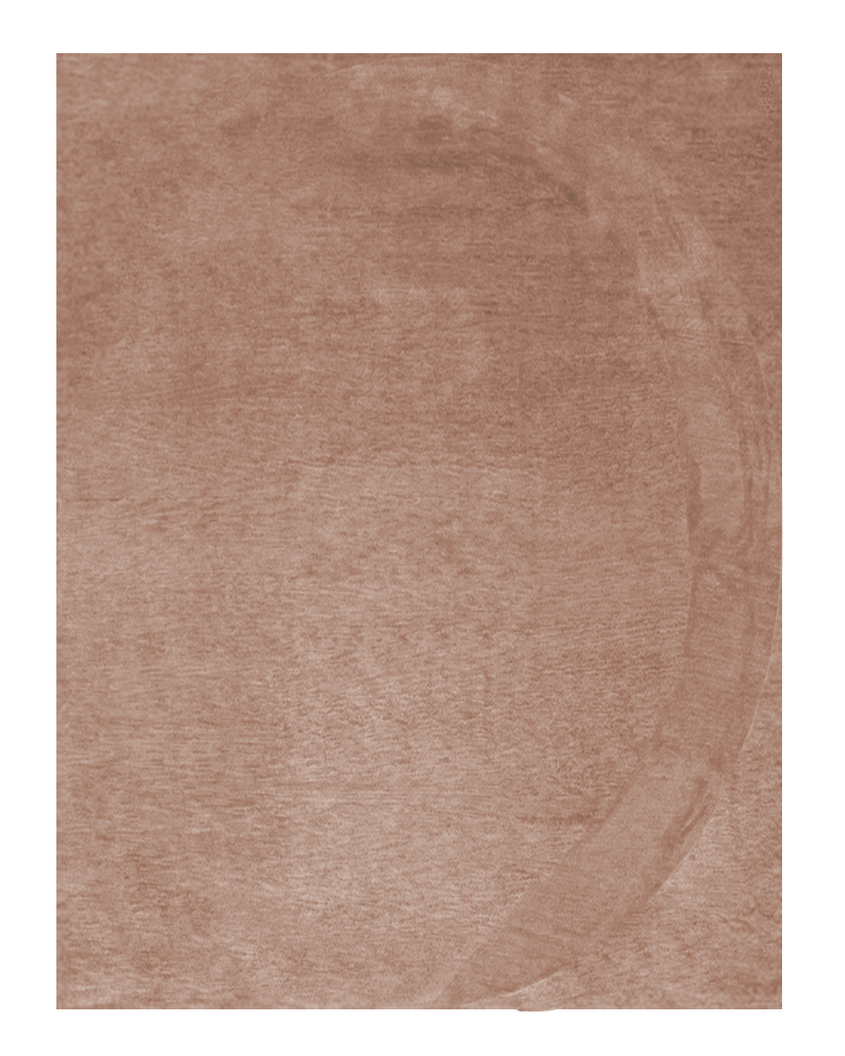 camel colores wool rug with silk details